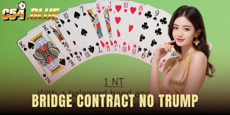 Bridge Contract No Trump