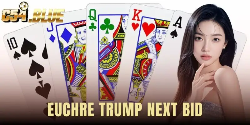 Euchre Trump Next Bid