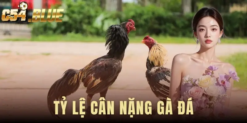 Tỷ Lệ Cân Nặng Gà Đá